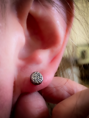 Small Seed Pod Stud Earrings